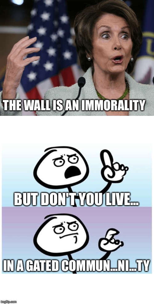 Irony At It's Finest | THE WALL IS AN IMMORALITY; BUT DON'T YOU LIVE... IN A GATED COMMUN...NI...TY | image tagged in stick figure finger,nancy pelosi,nancy pelosi is crazy,irony,nancy pelosi wtf | made w/ Imgflip meme maker