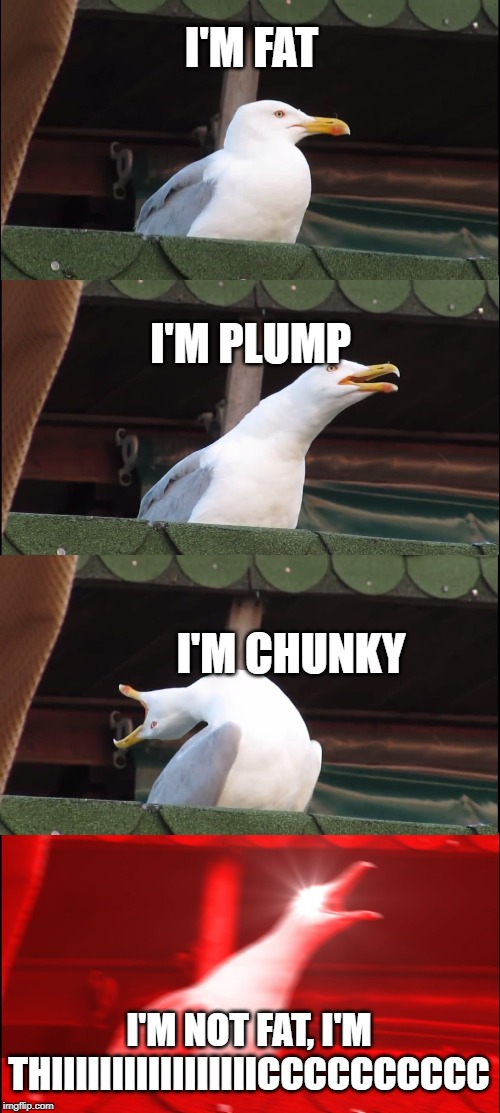 Inhaling Seagull Meme | I'M FAT; I'M PLUMP; I'M CHUNKY; I'M NOT FAT, I'M THIIIIIIIIIIIIIIIIICCCCCCCCCC | image tagged in memes,inhaling seagull | made w/ Imgflip meme maker