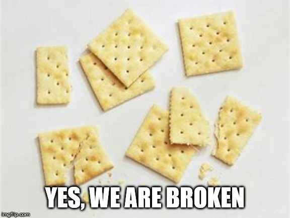 Broke crackers | YES, WE ARE BROKEN | image tagged in broke crackers | made w/ Imgflip meme maker