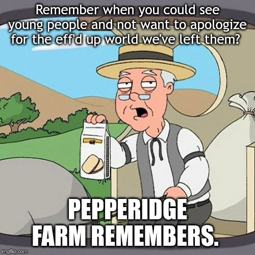 Pepperidge Farm Remembers Meme | Remember when you could see young people and not want to apologize for the eff'd up world we've left them? PEPPERIDGE FARM REMEMBERS. | image tagged in memes,pepperidge farm remembers | made w/ Imgflip meme maker