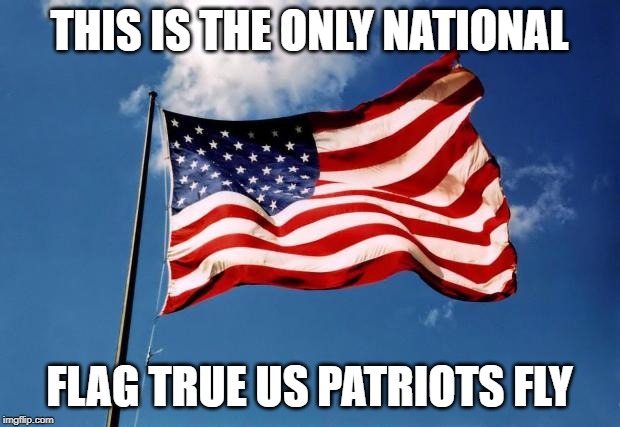us flag | THIS IS THE ONLY NATIONAL; FLAG TRUE US PATRIOTS FLY | image tagged in us flag | made w/ Imgflip meme maker