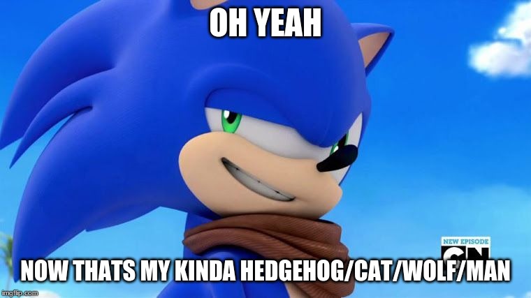 Sonic Meme | OH YEAH; NOW THATS MY KINDA HEDGEHOG/CAT/WOLF/MAN | image tagged in sonic meme | made w/ Imgflip meme maker