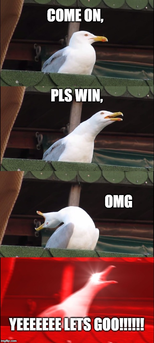 Inhaling Seagull Meme | COME ON, PLS WIN, OMG; YEEEEEEE LETS GOO!!!!!! | image tagged in memes,inhaling seagull | made w/ Imgflip meme maker