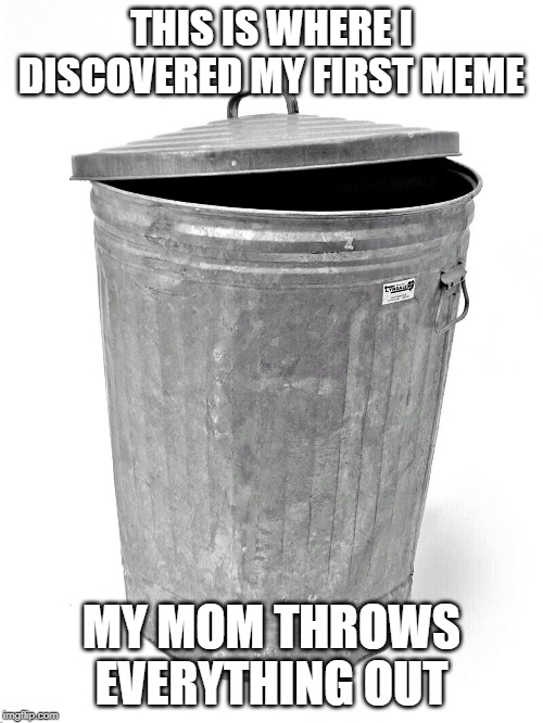 Trash Can | THIS IS WHERE I DISCOVERED MY FIRST MEME; MY MOM THROWS EVERYTHING OUT | image tagged in trash can | made w/ Imgflip meme maker