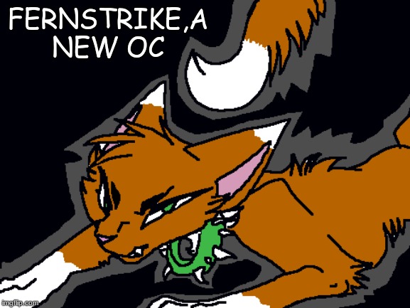 Fernstrike | FERNSTRIKE,A NEW OC | image tagged in warrior cats,original character,animal jam | made w/ Imgflip meme maker