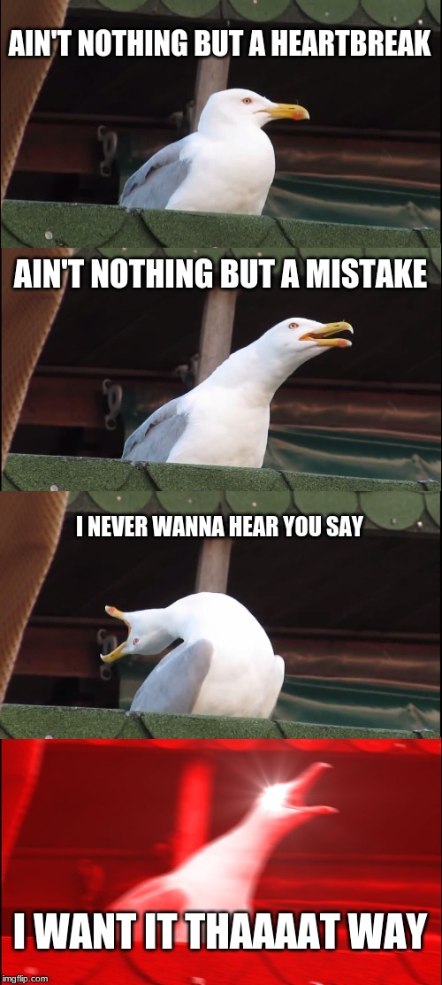 Inhaling Seagull Meme | AIN'T NOTHING BUT A HEARTBREAK; AIN'T NOTHING BUT A MISTAKE; I NEVER WANNA HEAR YOU SAY; I WANT IT THAAAAT WAY | image tagged in memes,inhaling seagull | made w/ Imgflip meme maker
