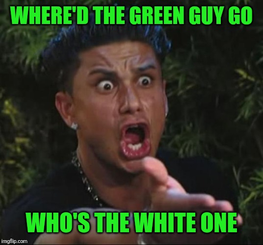 DJ Pauly D Meme | WHERE'D THE GREEN GUY GO WHO'S THE WHITE ONE | image tagged in memes,dj pauly d | made w/ Imgflip meme maker