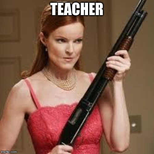 wife with a shotgun | TEACHER | image tagged in wife with a shotgun | made w/ Imgflip meme maker