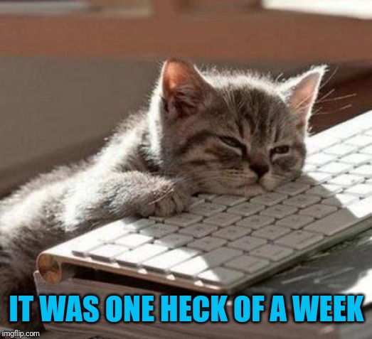 tired cat | IT WAS ONE HECK OF A WEEK | image tagged in tired cat | made w/ Imgflip meme maker