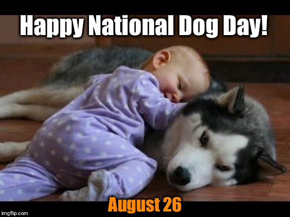 National Dog Day | Happy National Dog Day! August 26 | image tagged in dogs pets funny,baby | made w/ Imgflip meme maker