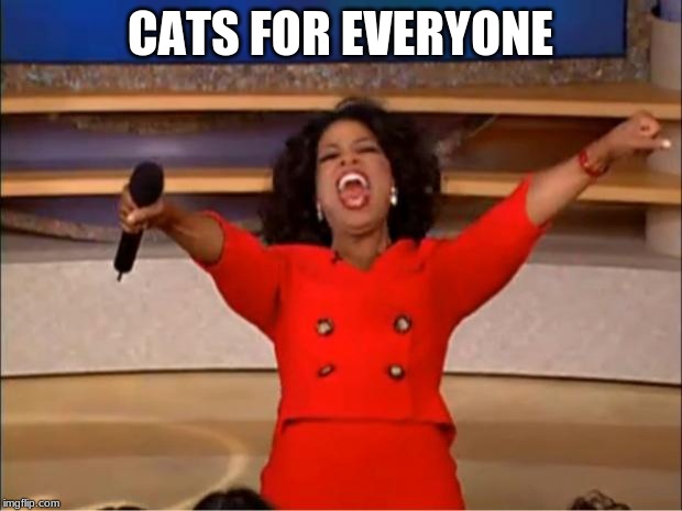 We Shall Love And Adore Them So Proclaims The Cat Overlords | CATS FOR EVERYONE | image tagged in memes,oprah you get a,cats | made w/ Imgflip meme maker