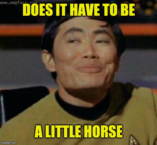 sulu | DOES IT HAVE TO BE A LITTLE HORSE | image tagged in sulu | made w/ Imgflip meme maker
