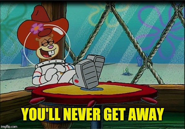 Sandy Cheeks | YOU'LL NEVER GET AWAY | image tagged in sandy cheeks | made w/ Imgflip meme maker
