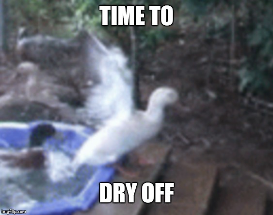 TIME TO DRY OFF | made w/ Imgflip meme maker