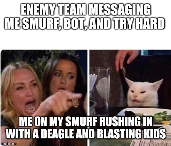 Lady screams at cat | ENEMY TEAM MESSAGING ME SMURF, BOT, AND TRY HARD; ME ON MY SMURF RUSHING IN WITH A DEAGLE AND BLASTING KIDS | image tagged in lady screams at cat | made w/ Imgflip meme maker
