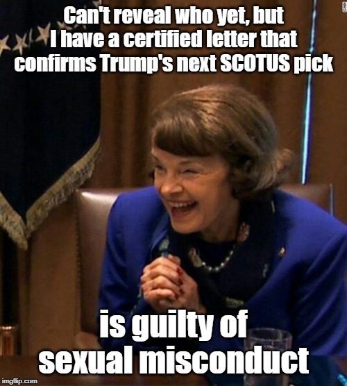 Trump's next Scotus pick | Can't reveal who yet, but I have a certified letter that confirms Trump's next SCOTUS pick; is guilty of sexual misconduct | image tagged in dianne feinstein shlomo hand rubbing,scotus,supreme court nomination | made w/ Imgflip meme maker