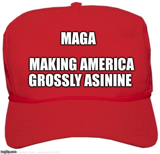 blank red MAGA hat | MAGA; MAKING AMERICA GROSSLY ASININE | image tagged in blank red maga hat | made w/ Imgflip meme maker