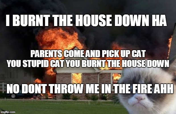 Burn Kitty Meme | I BURNT THE HOUSE DOWN HA; PARENTS COME AND PICK UP CAT YOU STUPID CAT YOU BURNT THE HOUSE DOWN; NO DONT THROW ME IN THE FIRE AHH | image tagged in memes,burn kitty,grumpy cat | made w/ Imgflip meme maker