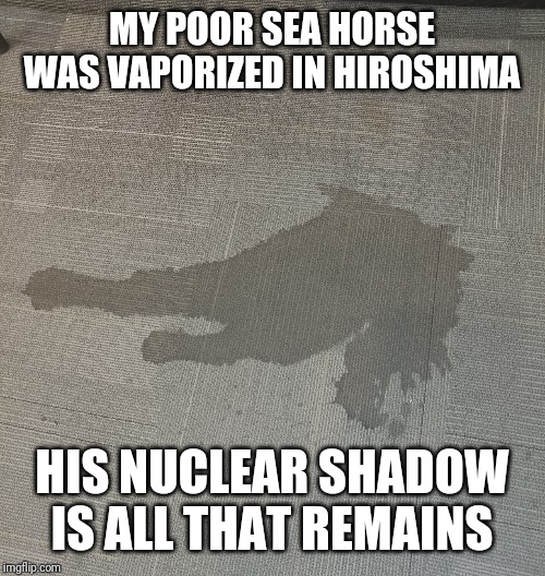 Peculiar stain | MY POOR SEA HORSE WAS VAPORIZED IN HIROSHIMA; HIS NUCLEAR SHADOW IS ALL THAT REMAINS | image tagged in peculiar floor stain | made w/ Imgflip meme maker