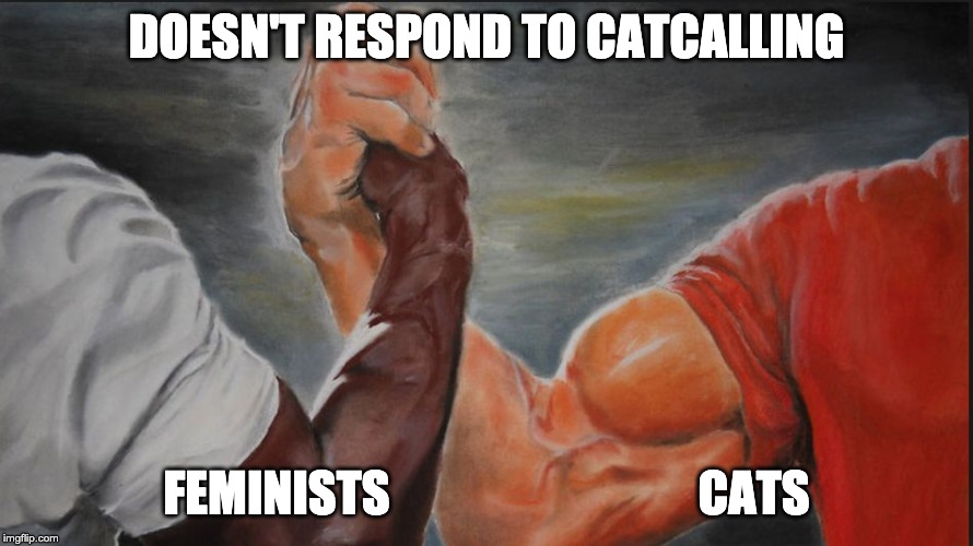 Black White Arms | DOESN'T RESPOND TO CATCALLING; FEMINISTS                                CATS | image tagged in black white arms | made w/ Imgflip meme maker