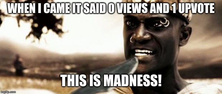 This is madness! | WHEN I CAME IT SAID 0 VIEWS AND 1 UPVOTE THIS IS MADNESS! | image tagged in this is madness | made w/ Imgflip meme maker