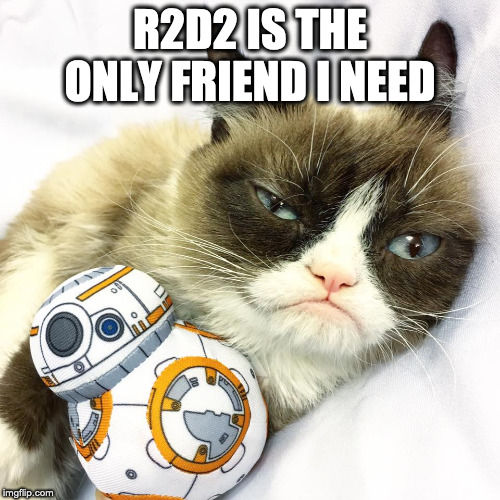 R2D2 and Grumpy Cat | R2D2 IS THE ONLY FRIEND I NEED | image tagged in grumpy cat star wars,grumpy cat not amused,memes,friends | made w/ Imgflip meme maker