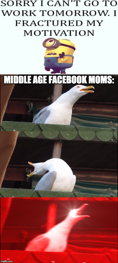 Middle Age Facebook Moms | MIDDLE AGE FACEBOOK MOMS: | image tagged in memes,inhaling seagull | made w/ Imgflip meme maker