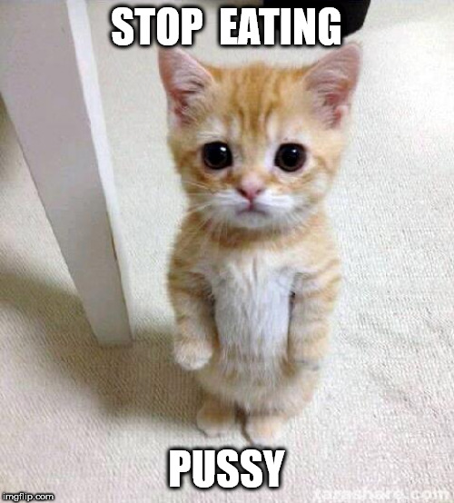 Cute Cat Meme | STOP  EATING PUSSY | image tagged in memes,cute cat | made w/ Imgflip meme maker