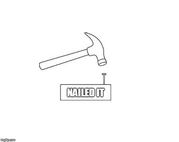 Hammer and Nail | NAILED IT | image tagged in hammer and nail | made w/ Imgflip meme maker