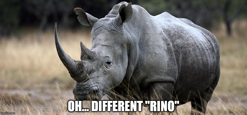 rhino | OH... DIFFERENT "RINO" | image tagged in rhino | made w/ Imgflip meme maker