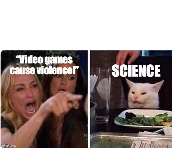Lady screams at cat | SCIENCE; “Video games cause violence!” | image tagged in lady screams at cat | made w/ Imgflip meme maker