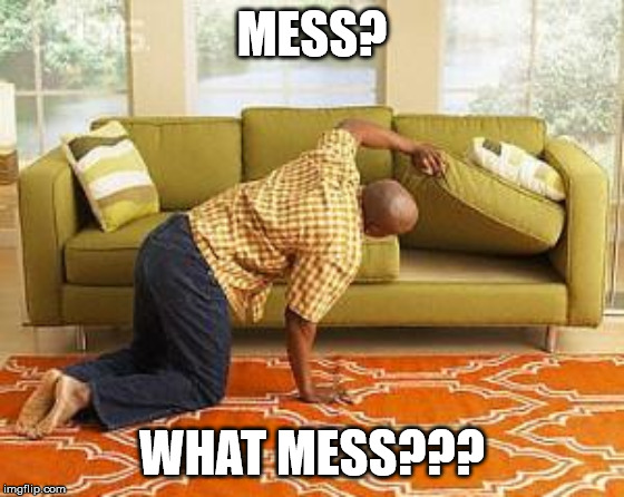 searching  | MESS? WHAT MESS??? | image tagged in searching | made w/ Imgflip meme maker