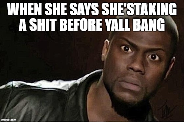 When she say's she is taking a shit before yall bang | WHEN SHE SAYS SHE'STAKING A SHIT BEFORE YALL BANG | image tagged in memes,kevin hart | made w/ Imgflip meme maker