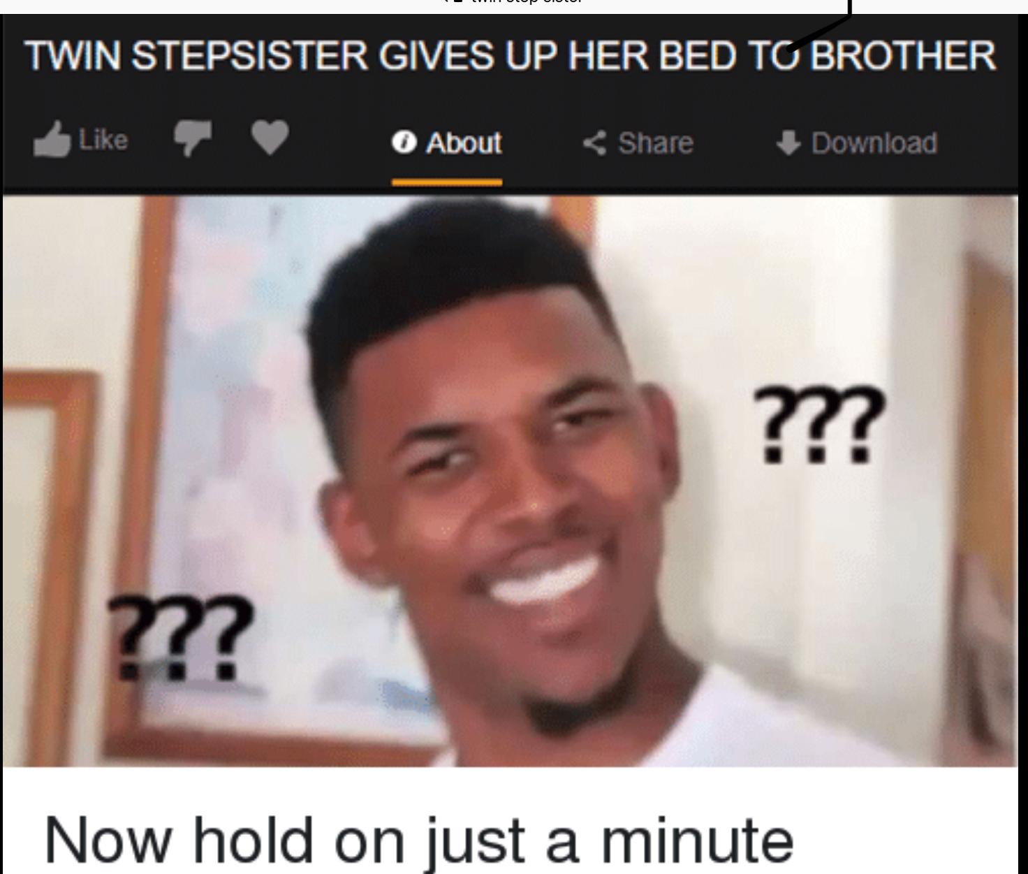Twin step sisters are A thing Blank Meme Template