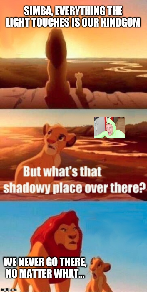 Simba Shadowy Place | SIMBA, EVERYTHING THE LIGHT TOUCHES IS OUR KINDGOM; WE NEVER GO THERE, NO MATTER WHAT... | image tagged in memes,simba shadowy place | made w/ Imgflip meme maker