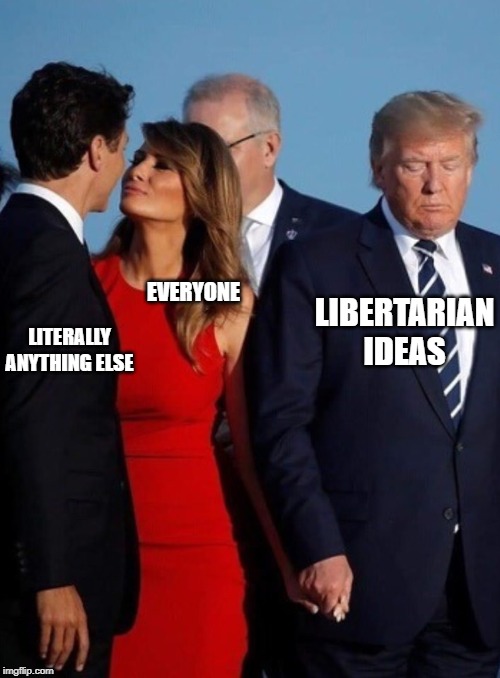 Donald Trump | LITERALLY ANYTHING ELSE; LIBERTARIAN IDEAS; EVERYONE | image tagged in donald trump | made w/ Imgflip meme maker