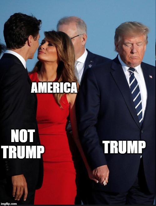 Election 2020 | AMERICA; TRUMP; NOT TRUMP | image tagged in distracted wife,politics,election 2020,trump,funny because it's true | made w/ Imgflip meme maker