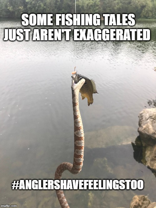 Some Fishing Tales Just Aren't Exaggerated | SOME FISHING TALES JUST AREN'T EXAGGERATED; #ANGLERSHAVEFEELINGSTOO | image tagged in wow,fishing,snakes,tall tale,truth | made w/ Imgflip meme maker