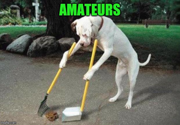 Dog poop | AMATEURS | image tagged in dog poop | made w/ Imgflip meme maker