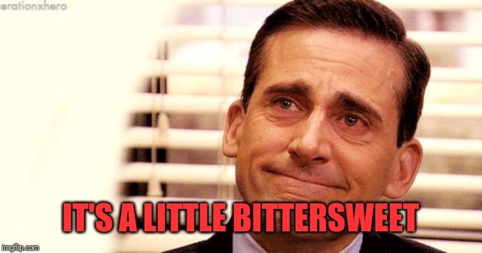 Michael Scott bittersweet  | IT'S A LITTLE BITTERSWEET | image tagged in michael scott bittersweet | made w/ Imgflip meme maker