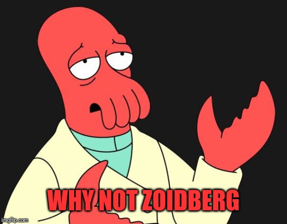 Why Not Zoidberg | WHY NOT ZOIDBERG | image tagged in why not zoidberg | made w/ Imgflip meme maker