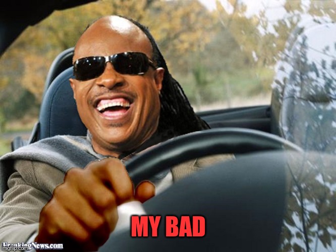 Stevie Wonder Driving | MY BAD | image tagged in stevie wonder driving | made w/ Imgflip meme maker