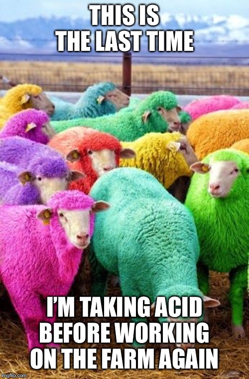 Too much Minecraft? | THIS IS THE LAST TIME; I’M TAKING ACID BEFORE WORKING ON THE FARM AGAIN | image tagged in too much minecraft | made w/ Imgflip meme maker