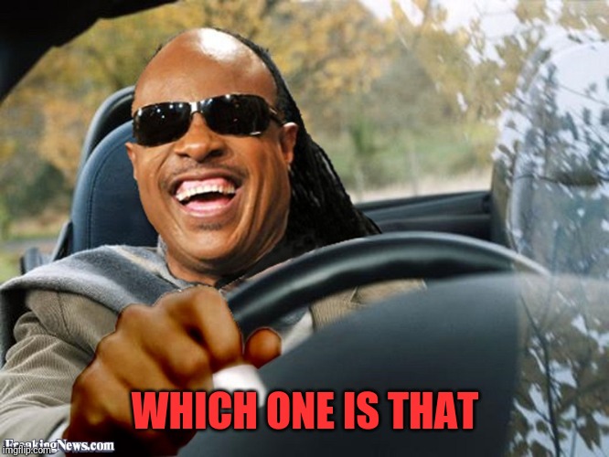 Stevie Wonder Driving | WHICH ONE IS THAT | image tagged in stevie wonder driving | made w/ Imgflip meme maker