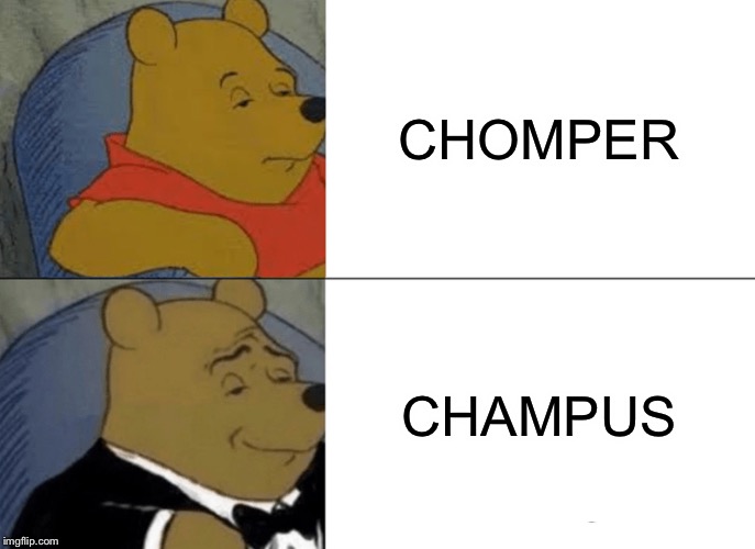 Tuxedo Winnie The Pooh | CHOMPER; CHAMPUS | image tagged in memes,tuxedo winnie the pooh | made w/ Imgflip meme maker