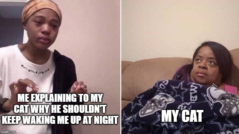 Me explaining to my mom | MY CAT; ME EXPLAINING TO MY CAT WHY HE SHOULDN'T KEEP WAKING ME UP AT NIGHT | image tagged in me explaining to my mom | made w/ Imgflip meme maker