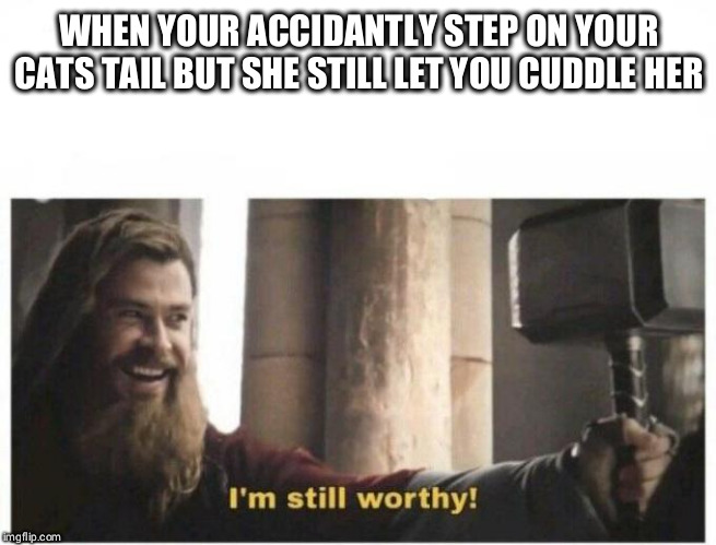 I'm still worthy | WHEN YOUR ACCIDANTLY STEP ON YOUR CATS TAIL BUT SHE STILL LET YOU CUDDLE HER | image tagged in i'm still worthy | made w/ Imgflip meme maker