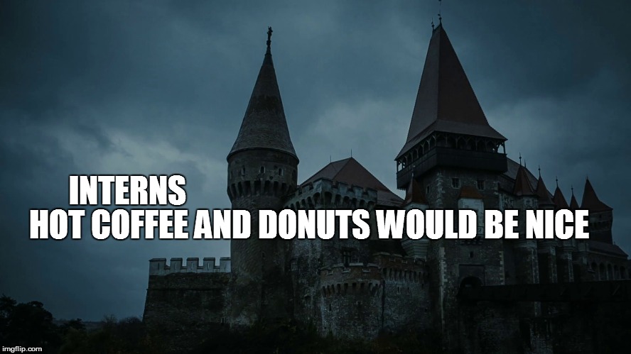 INTERNS HOT COFFEE AND DONUTS WOULD BE NICE | made w/ Imgflip meme maker