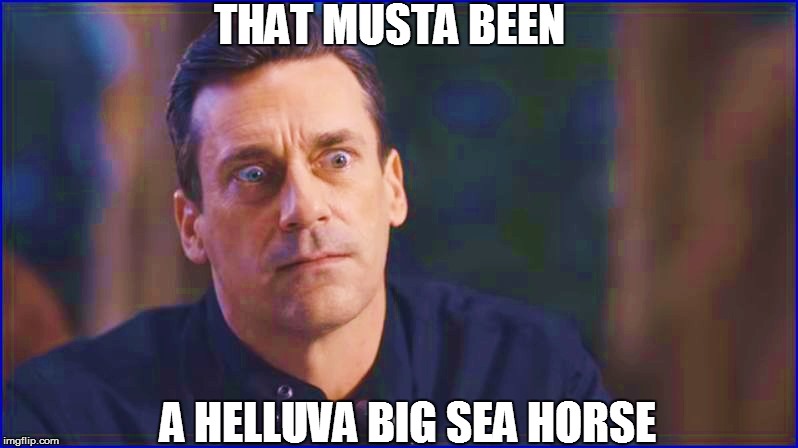 THAT MUSTA BEEN A HELLUVA BIG SEA HORSE | made w/ Imgflip meme maker