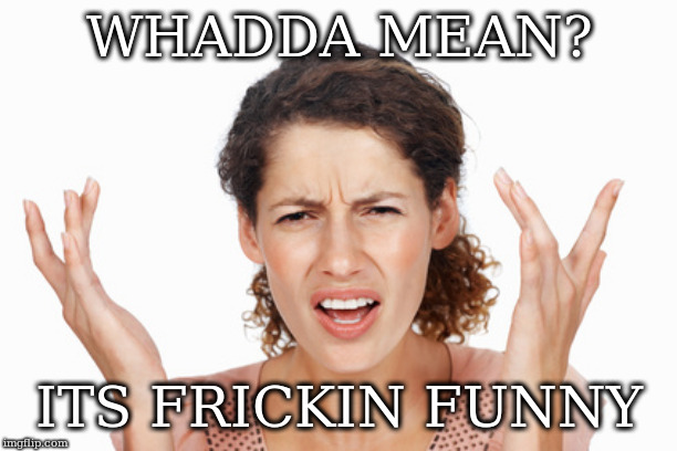 Indignant | WHADDA MEAN? ITS FRICKIN FUNNY | image tagged in indignant | made w/ Imgflip meme maker